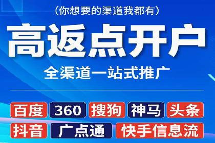 百度推广效果案例解析